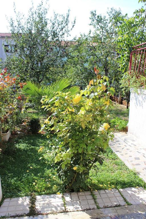 Pet Friendly Apartment In Porec With Wifi Camera foto